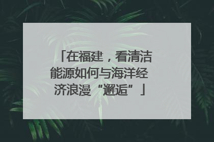 在福建，看清洁能源如何与海洋经济浪漫“邂逅”