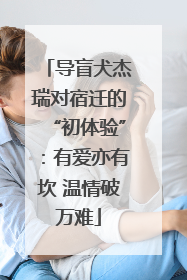 导盲犬杰瑞对宿迁的“初体验”：有爱亦有坎 温情破万难
