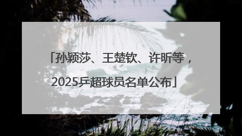 孙颖莎、王楚钦、许昕等，2025乒超球员名单公布