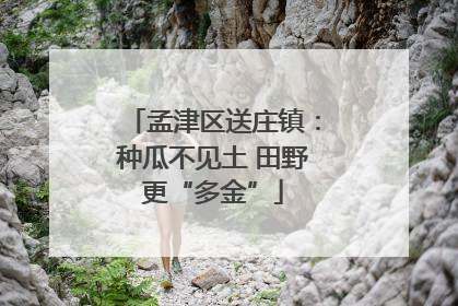 孟津区送庄镇：种瓜不见土 田野更“多金”