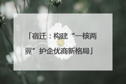 宿迁：构建“一核两翼”护企优商新格局