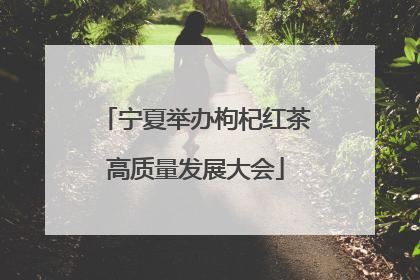 宁夏举办枸杞红茶高质量发展大会