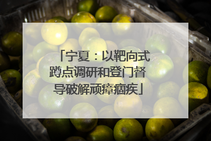 宁夏：以靶向式蹲点调研和登门督导破解顽瘴痼疾