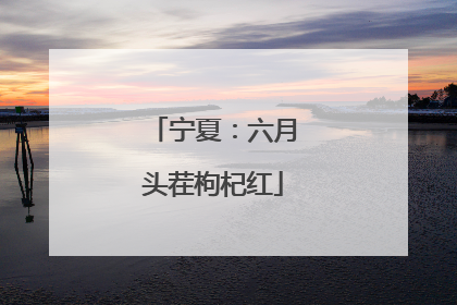 宁夏：六月头茬枸杞红