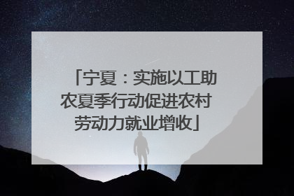 宁夏：实施以工助农夏季行动促进农村劳动力就业增收
