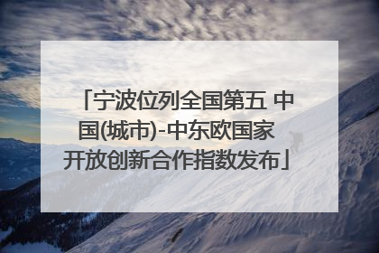 宁波位列全国第五 中国(城市)-中东欧国家开放创新合作指数发布