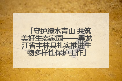 守护绿水青山 共筑美好生态家园——黑龙江省丰林县扎实推进生物多样性保护工作