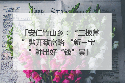 安仁竹山乡：“三板斧”劈开致富路 “新三宝”种出好“钱”景