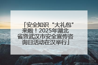 安全知识“大礼包”来啦！2025年湖北省暨武汉市安全宣传咨询日活动在汉举行