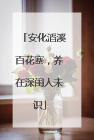 安化滔溪百花寨，养在深闺人未识