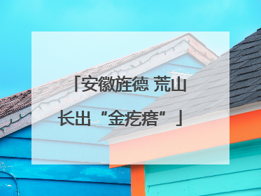 安徽旌德 荒山长出“金疙瘩”