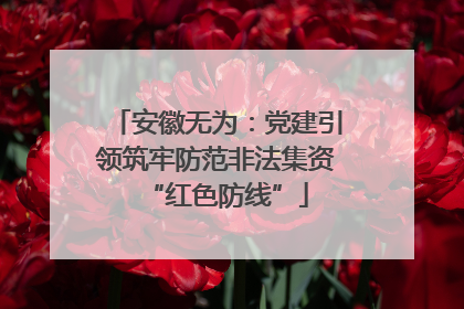 安徽无为：党建引领筑牢防范非法集资“红色防线”