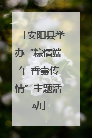 安阳县举办“粽情端午 香囊传情”主题活动