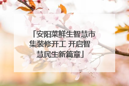 安阳菜鲜生智慧市集装修开工 开启智慧民生新篇章
