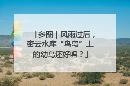 多图｜风雨过后，密云水库“鸟岛”上的幼鸟还好吗？