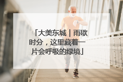 大美东城｜雨歇时分，这里藏着一片会呼吸的绿境