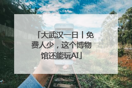 大武汉一日丨免费人少，这个博物馆还能玩AI
