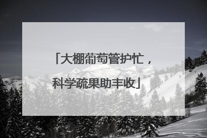 大棚葡萄管护忙，科学疏果助丰收