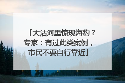 大沽河里惊现海豹？专家：有过此类案例，市民不要自行靠近