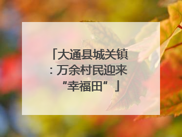 大通县城关镇：万余村民迎来“幸福田”
