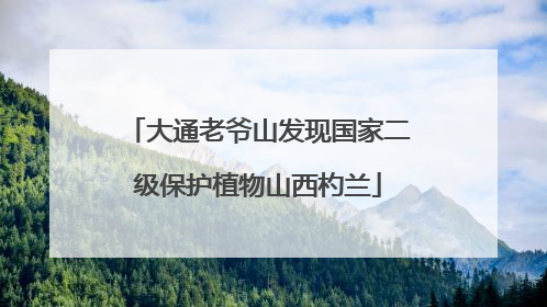 大通老爷山发现国家二级保护植物山西杓兰