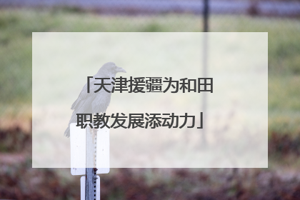 天津援疆为和田职教发展添动力