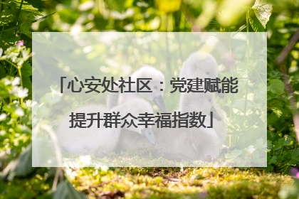 心安处社区：党建赋能 提升群众幸福指数
