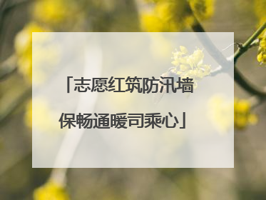 志愿红筑防汛墙 保畅通暖司乘心