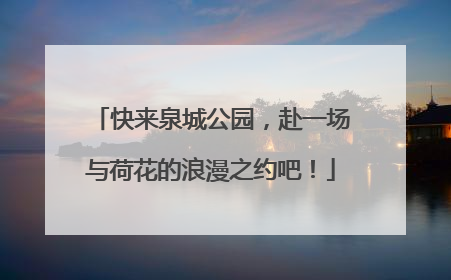 快来泉城公园，赴一场与荷花的浪漫之约吧！