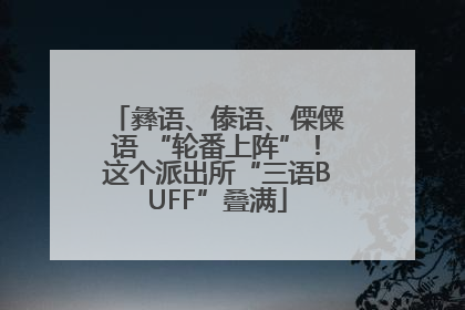 彝语、傣语、傈僳语 “轮番上阵”！这个派出所“三语BUFF”叠满