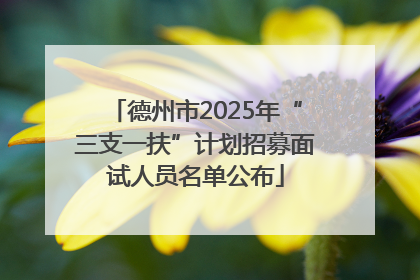 德州市2025年“三支一扶”计划招募面试人员名单公布
