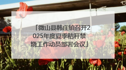 微山县韩庄镇召开2025年度夏季秸秆禁烧工作动员部署会议