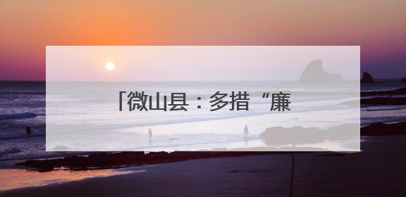 微山县：多措“廉”动 清风护安