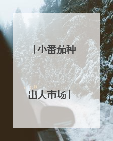 小番茄种出大市场