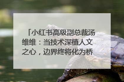 小红书高级副总裁汤维维：当技术深植人文之心，边界终将化为桥梁｜聚焦2025文化强国建设高峰论坛