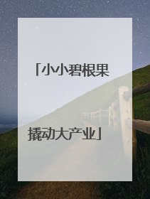 小小碧根果撬动大产业