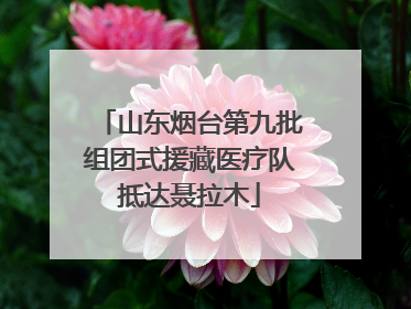 山东烟台第九批组团式援藏医疗队抵达聂拉木
