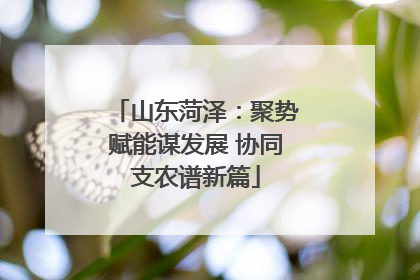 山东菏泽：聚势赋能谋发展 协同支农谱新篇