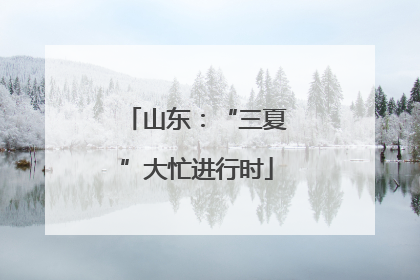 山东：“三夏”大忙进行时