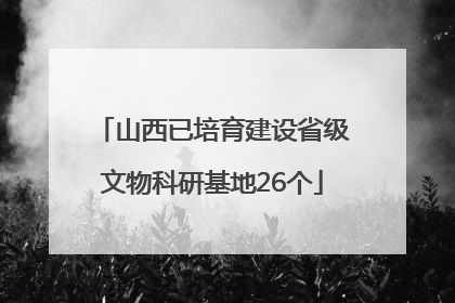 山西已培育建设省级文物科研基地26个