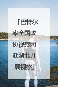 巴特尔率全国政协视察团赴湖北开展视察