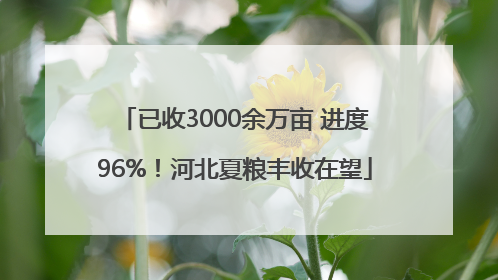 已收3000余万亩 进度96%！河北夏粮丰收在望