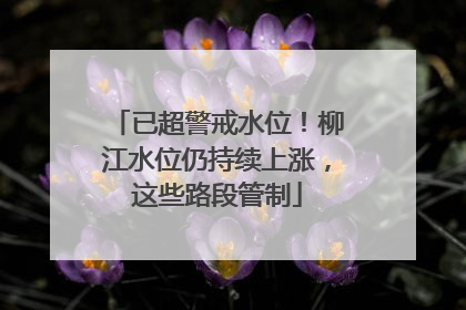 已超警戒水位！柳江水位仍持续上涨，这些路段管制