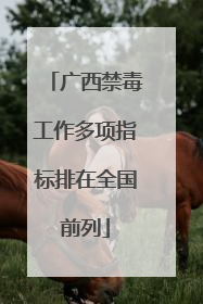 广西禁毒工作多项指标排在全国前列