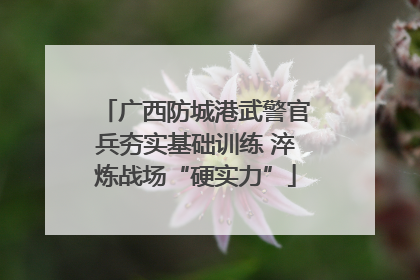 广西防城港武警官兵夯实基础训练 淬炼战场“硬实力”