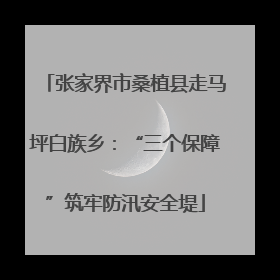 张家界市桑植县走马坪白族乡：“三个保障”筑牢防汛安全堤