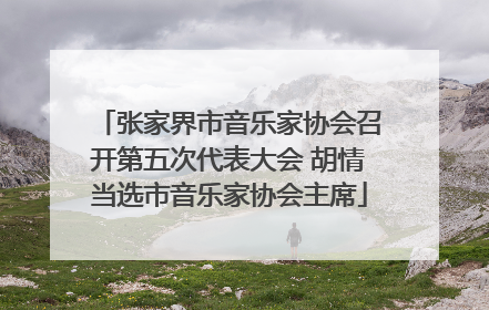 张家界市音乐家协会召开第五次代表大会 胡情当选市音乐家协会主席