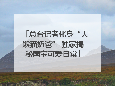 总台记者化身“大熊猫奶爸” 独家揭秘国宝可爱日常