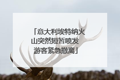 意大利埃特纳火山突然短暂喷发 游客紧急撤离