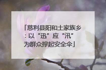 慈利县阳和土家族乡：以“迅”应“汛” 为群众撑起安全伞